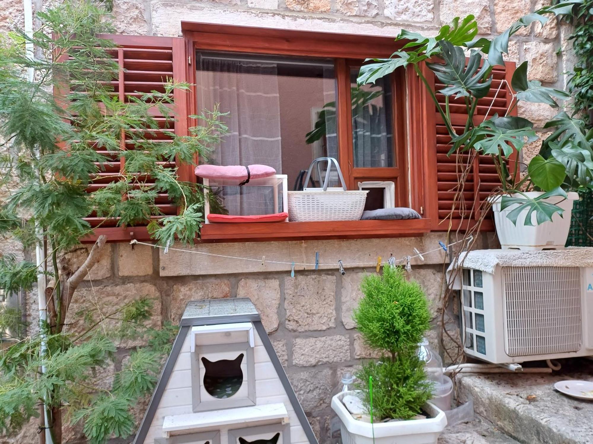 Guest House Jungher コルチュラ エクステリア 写真