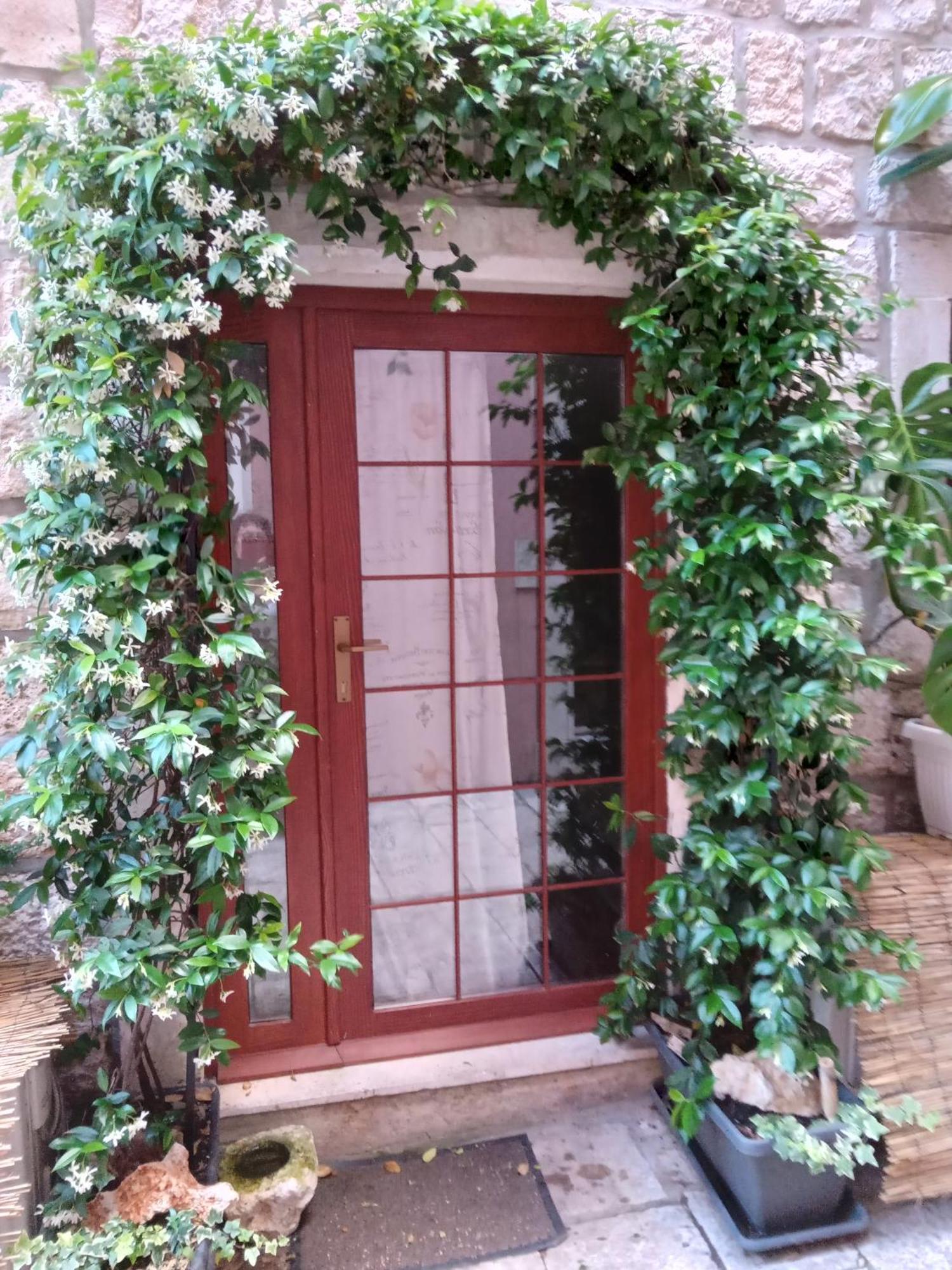 Guest House Jungher コルチュラ エクステリア 写真